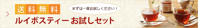 送料無料　ルイボスティー3週間お試しセット