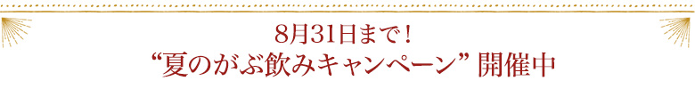 8/31まで