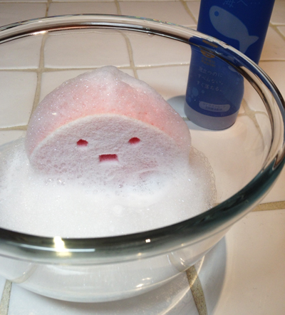 手肌にやさしくすすぎもすっきり!生分解するキッチン洗剤 ≪海へ・・・≫